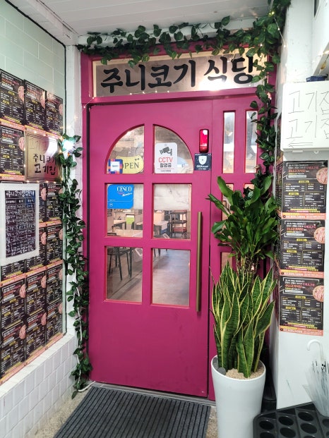 주니코기 이미지