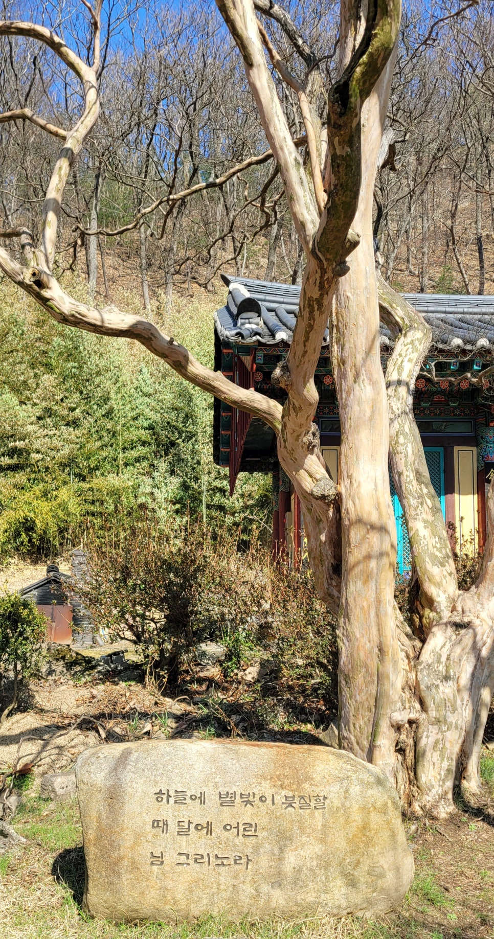 평화소머리국밥 이미지