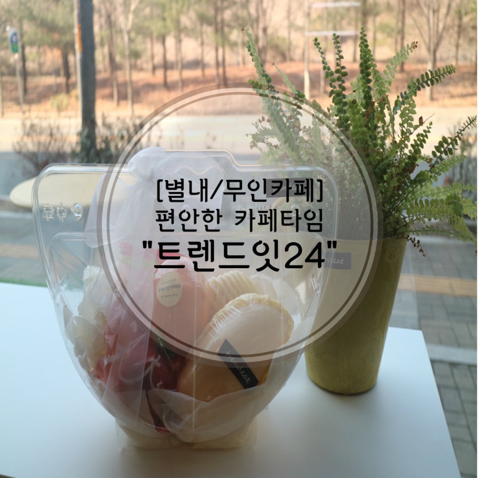 트렌드잇 카페24 이미지