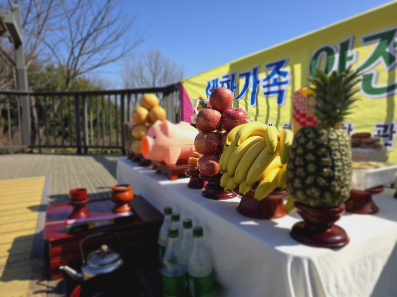 세화종합관리 이미지