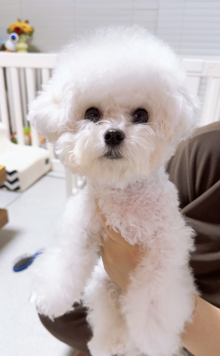 스마트올인원 이미지