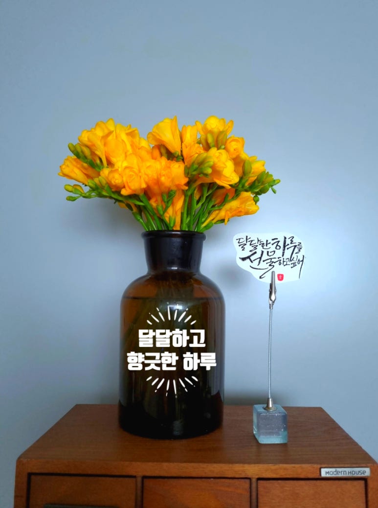 꽃집;오월그리고작은책방 이미지