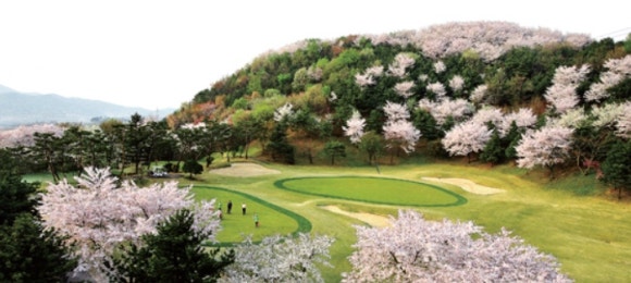 (주)제일스포츠센타 이미지