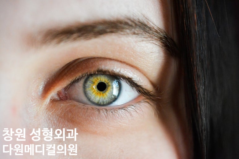 다원메디컬의원 이미지
