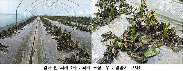동해기술 이미지