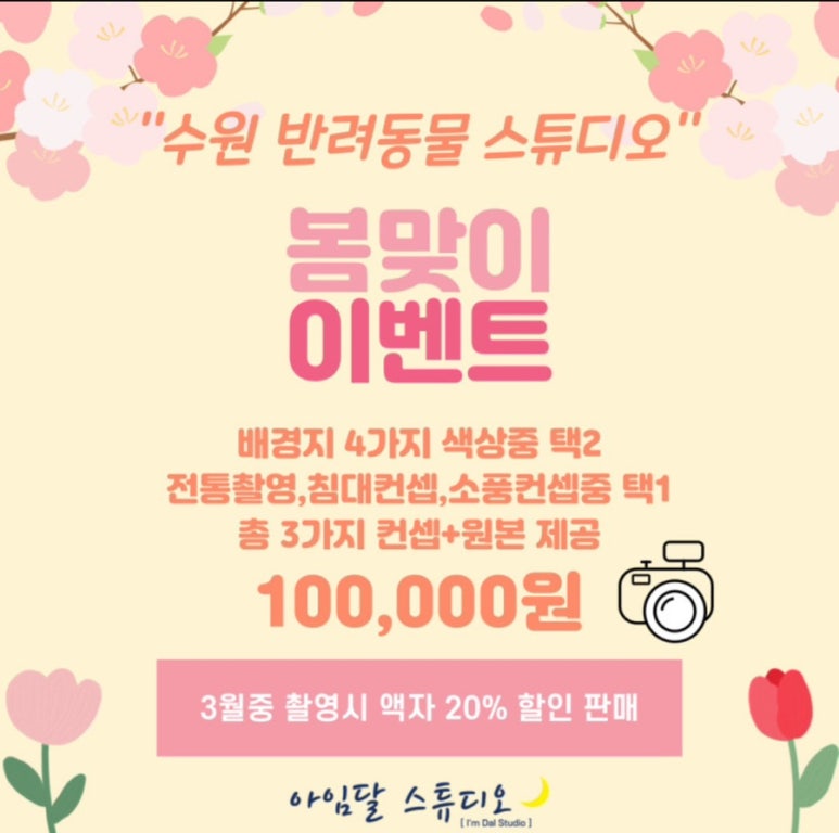 스튜디오달 이미지