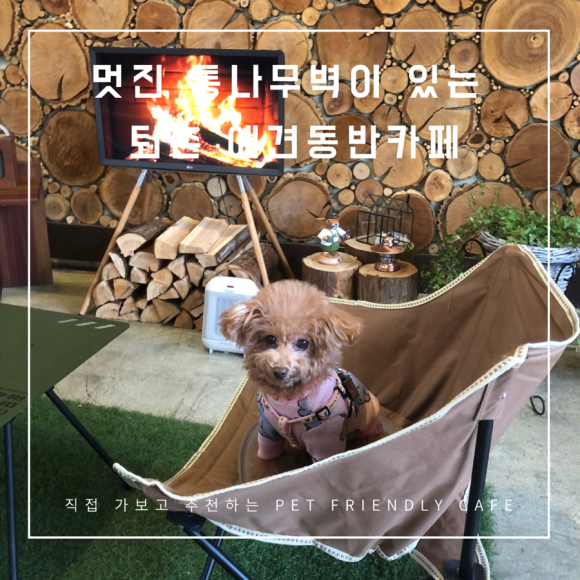 딥포레 이미지