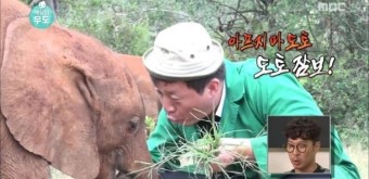 도토 이미지