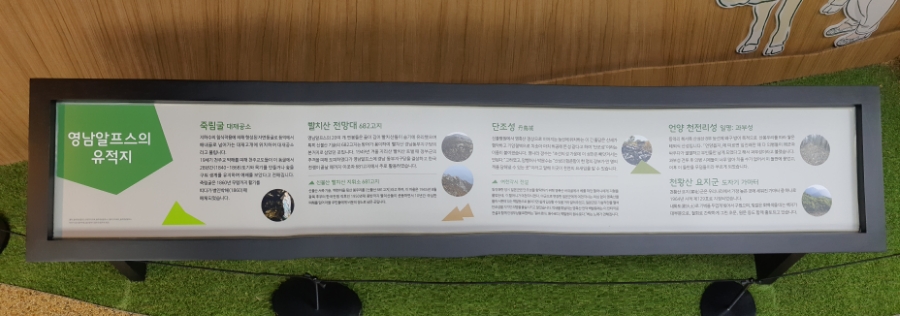 알프스시네마 1관 이미지