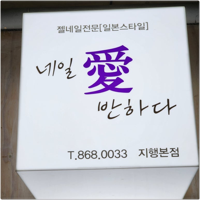 네일애 이미지