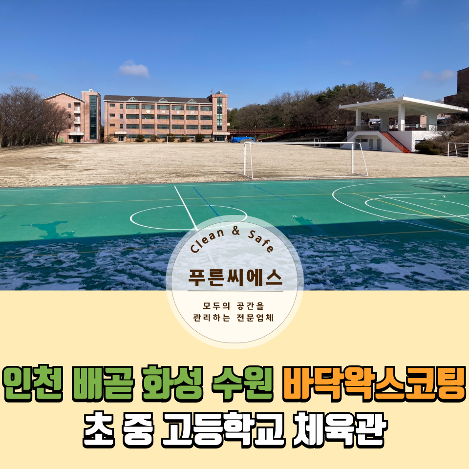 푸른씨에스 이미지