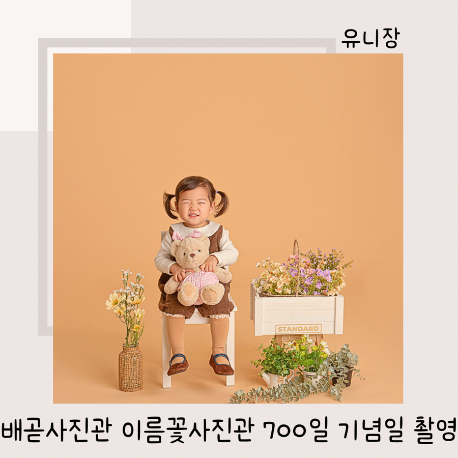 이름꽃사진관배곧점 이미지