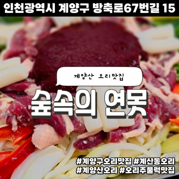 숲속의오리 이미지