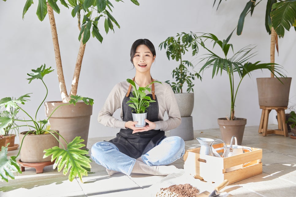 농부원예 이미지