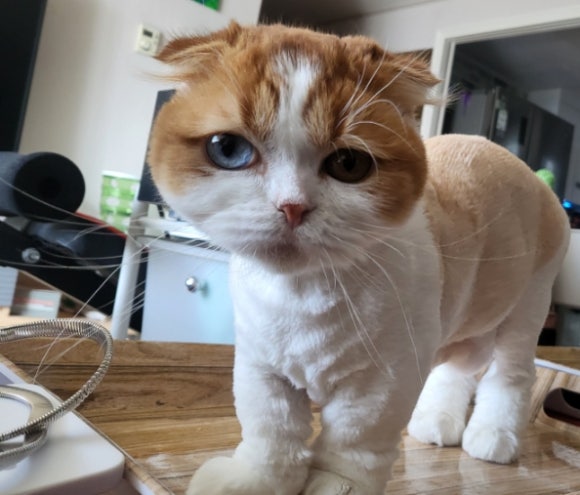 개명선물의집 이미지