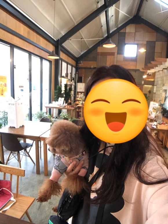 딥포레 이미지