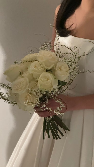 플레타플레르 이미지