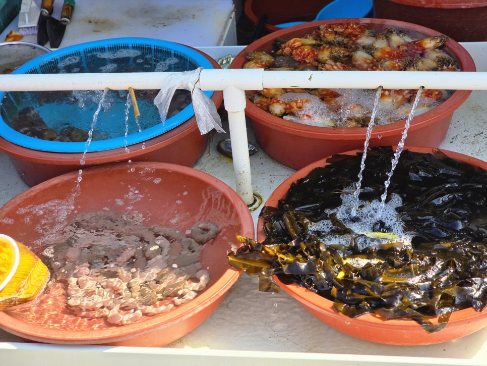 먹거리매니아 이미지
