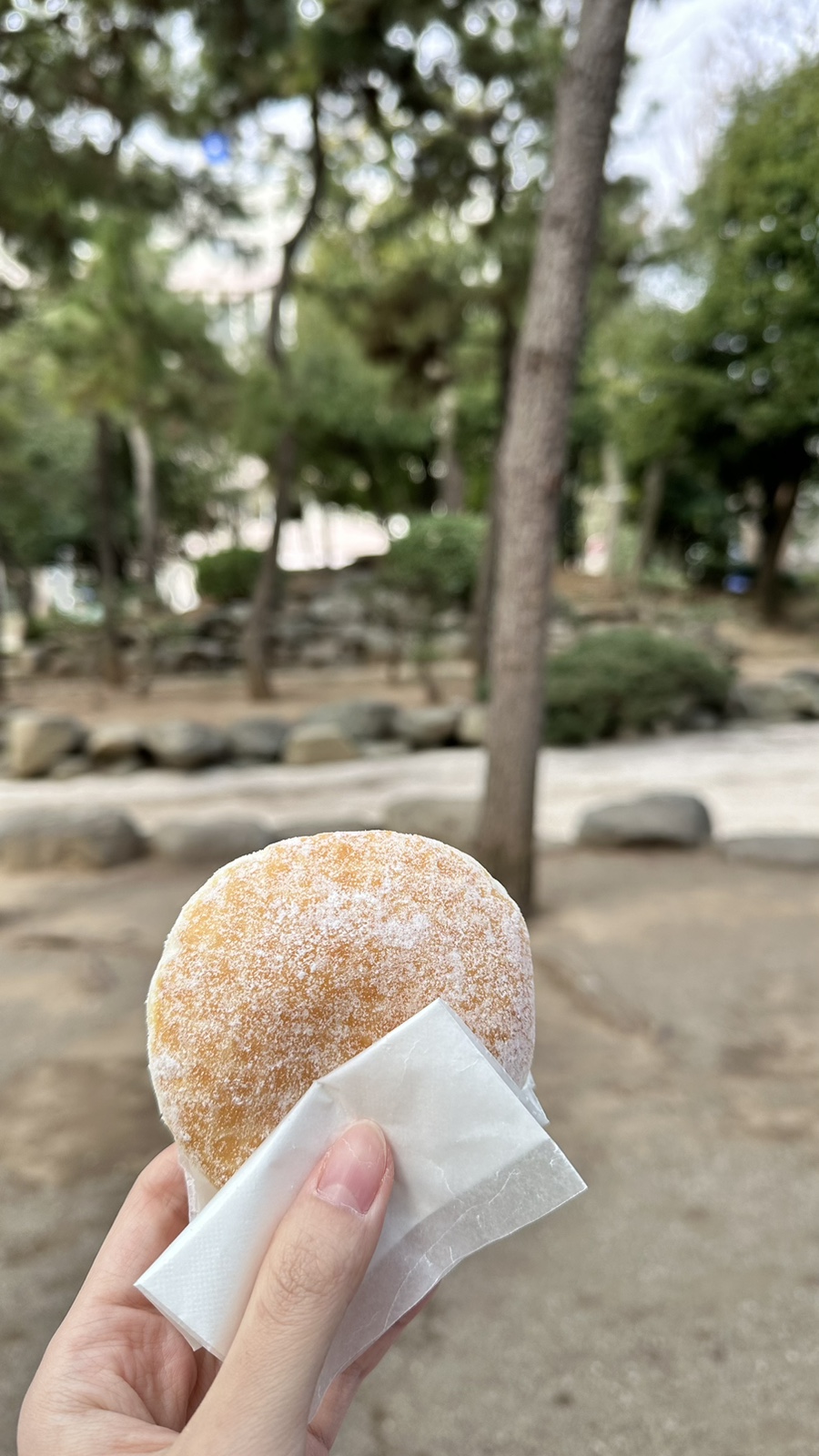 미스가라오케 이미지