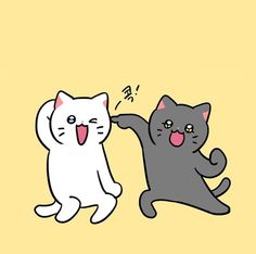 포인트나인 이미지