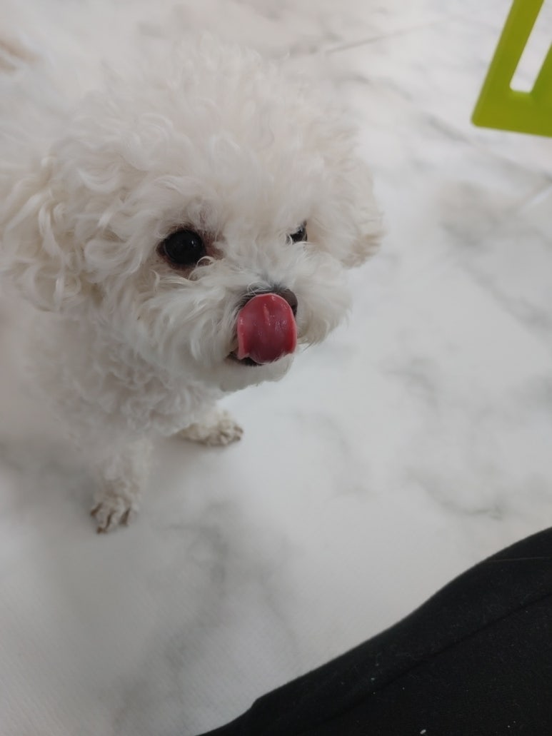 킹스크림 이미지