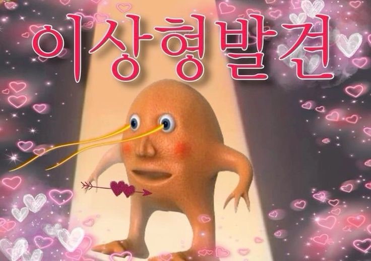 한나비플뢰르 이미지