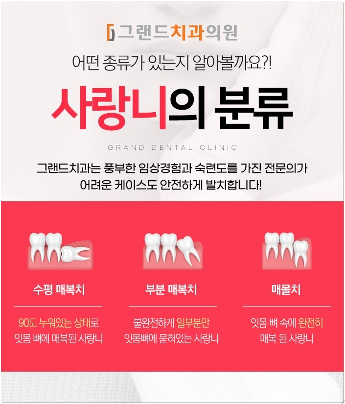 보령치과 이미지