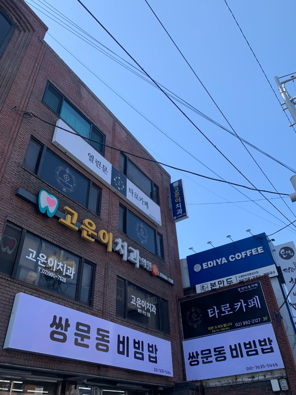 창동타로카페 이미지