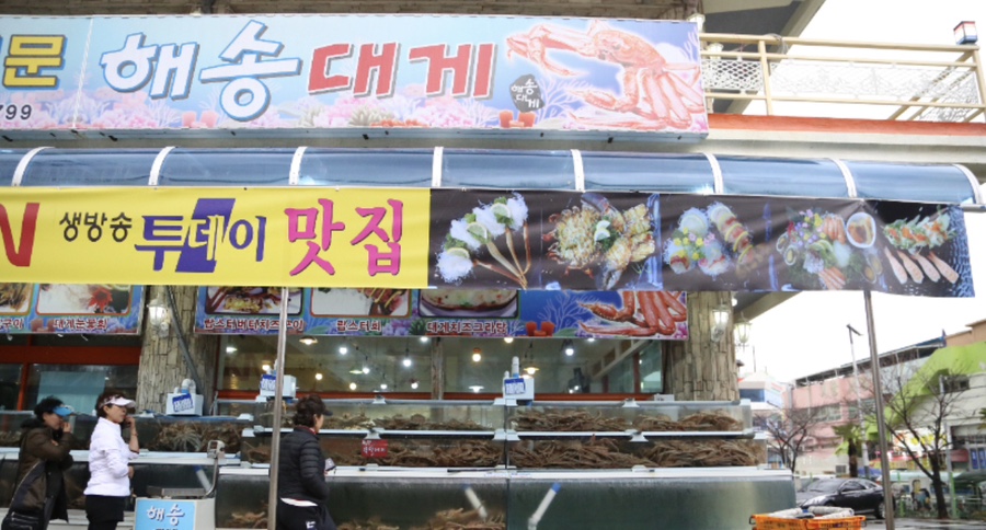 해송개발 이미지