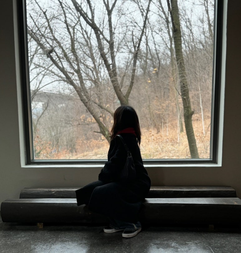 모스플렌트 이미지