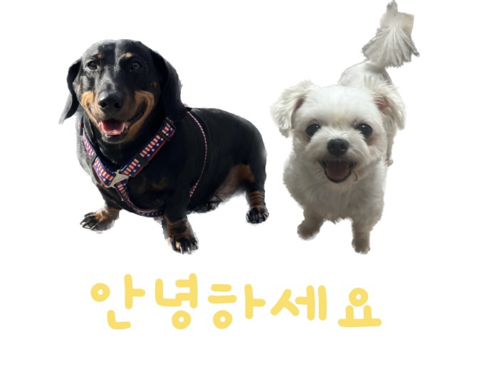 필아웃커피보정점 이미지