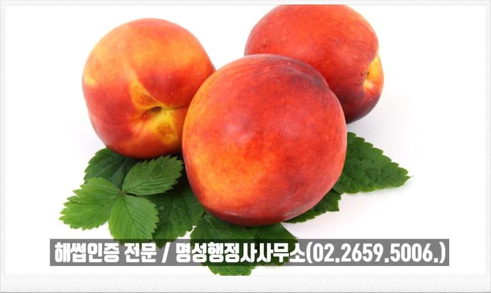 명성행정사사무소 이미지