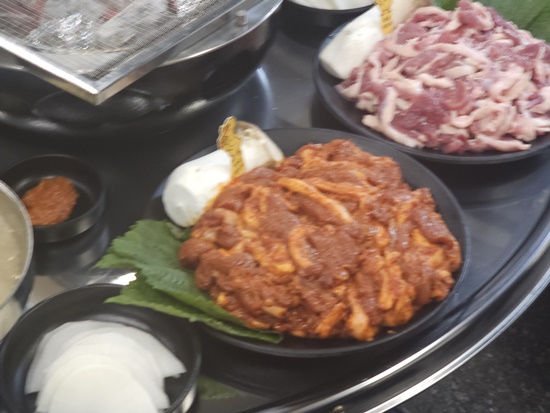 싱싱오리 이미지