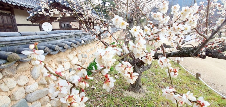 서원테라피 이미지