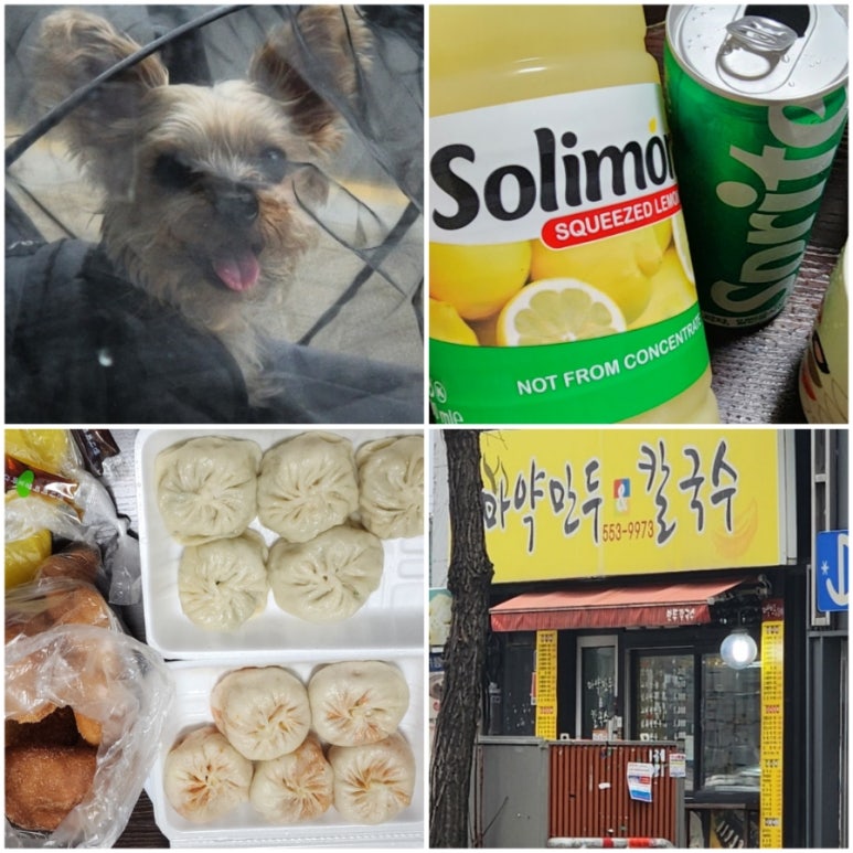 마약만두앤칼국수 이미지