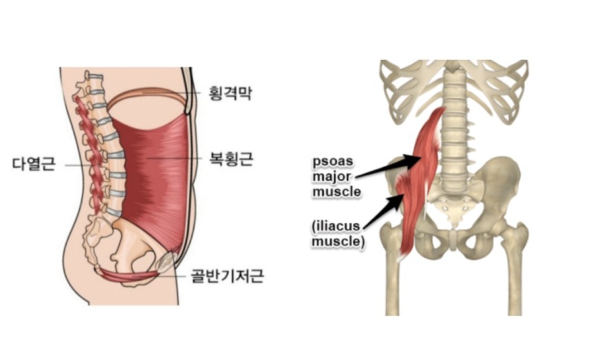 문스짐 이미지