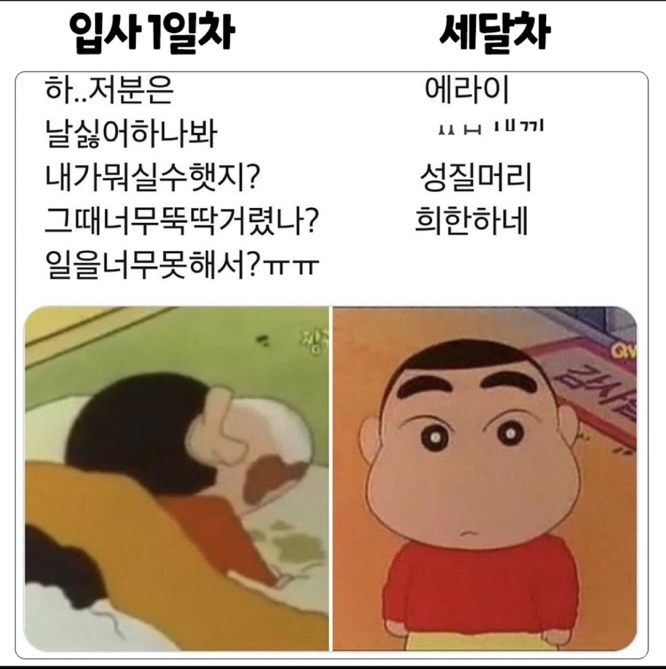 하늘만큼땅만큼 이미지