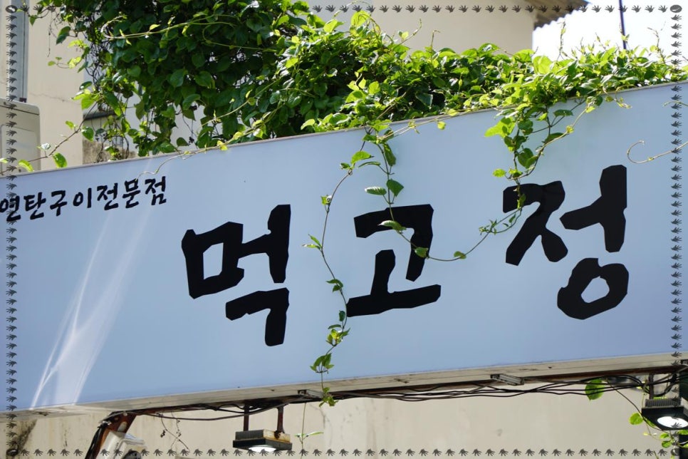 바로올레 이미지