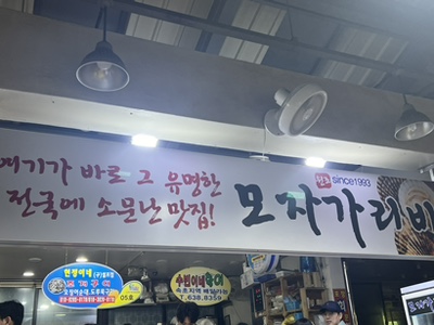 모자가리비 이미지