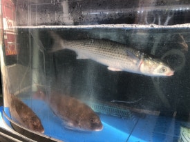 바다2호 이미지