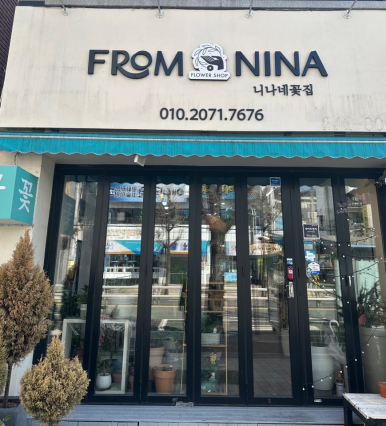 프롬니나 이미지