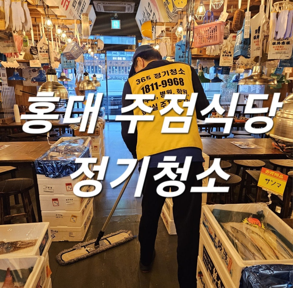 돌핀크린 이미지