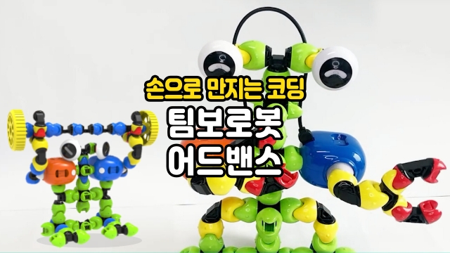 팀보 이미지