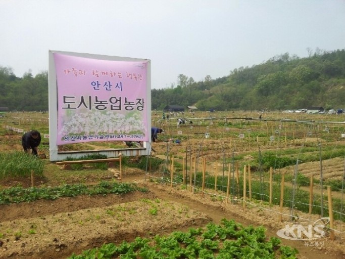 고려농장 이미지