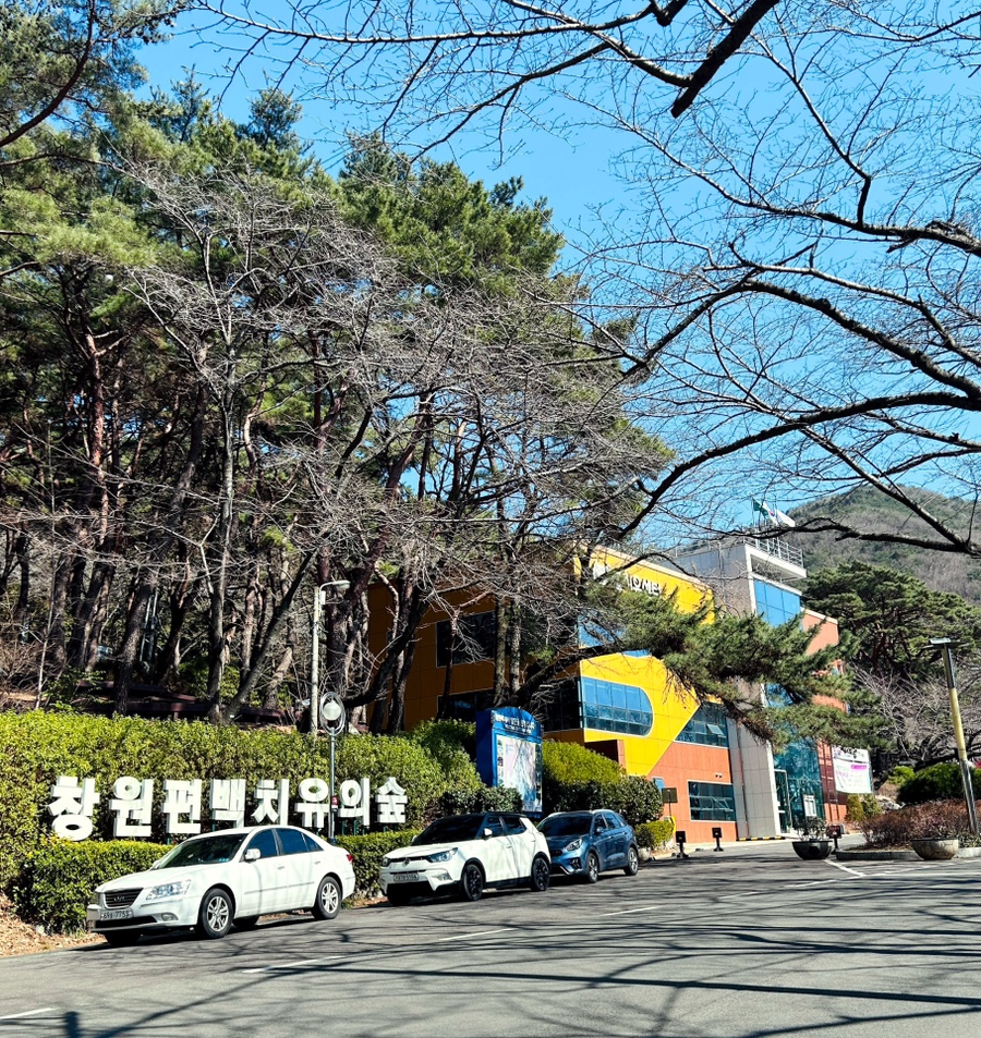 숲의조각 이미지