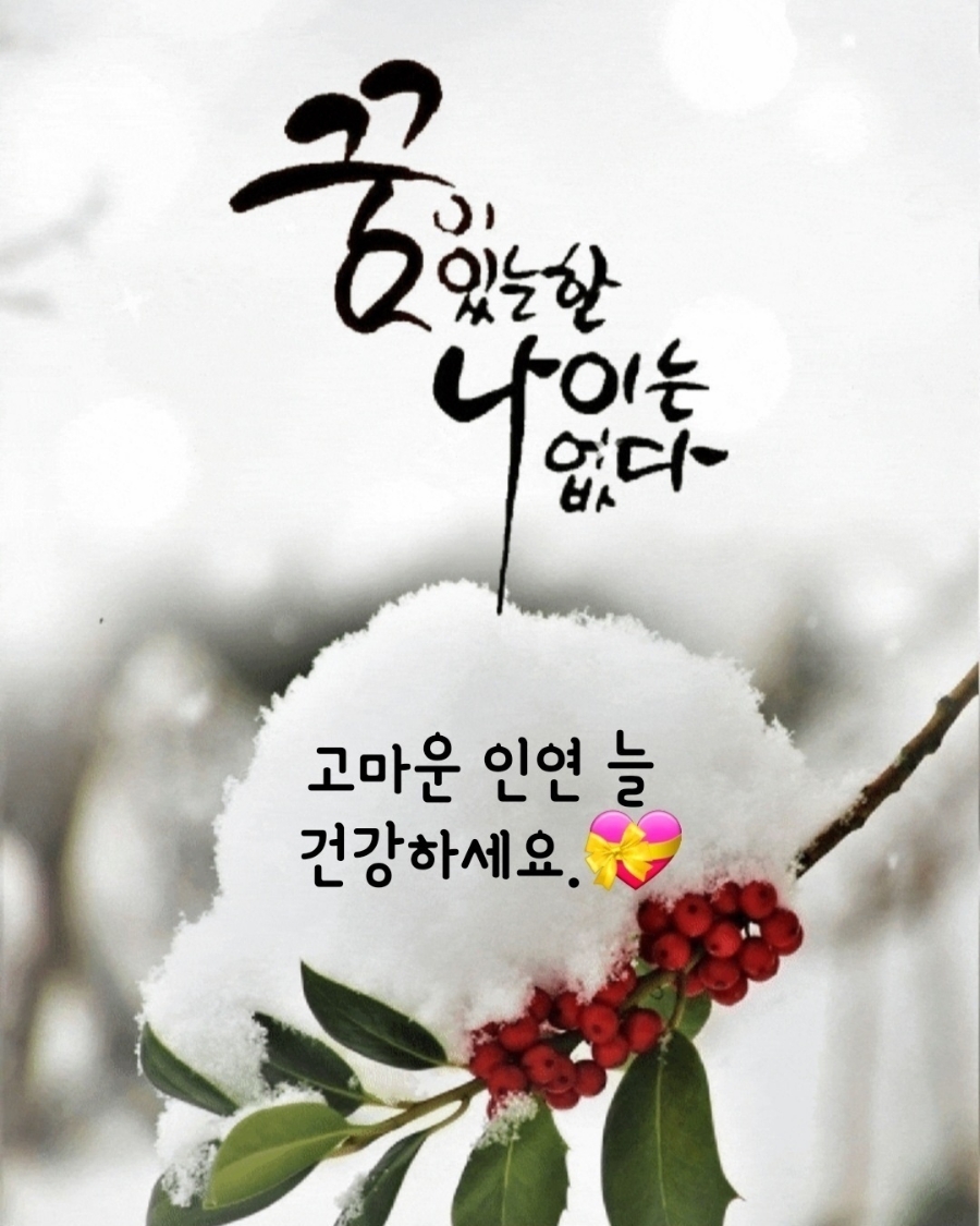 화이트펜슬 이미지