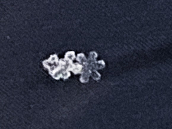 윷떡 이미지