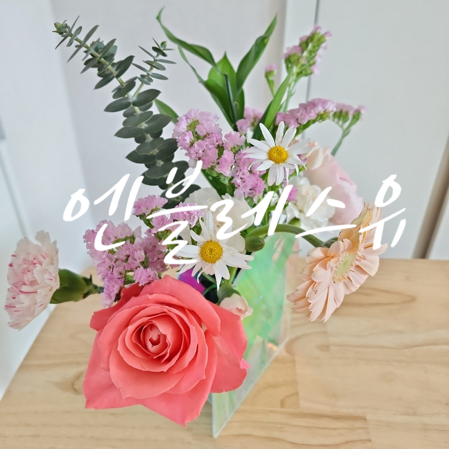 엔블레스유 이미지