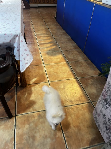 카페갤러리줌 이미지