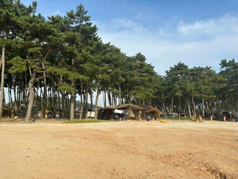 오손도손캠핑장 이미지